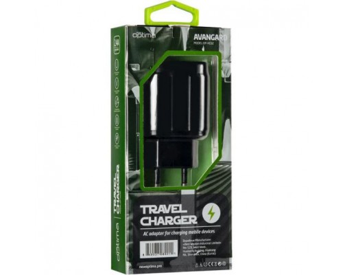 СЗУ Optima Avangard OP-HC02 2USB 2.4A + MicroUSB кабель Black